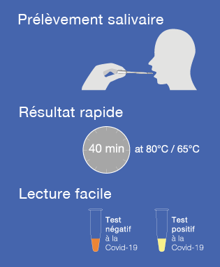 EasyCOV: Rapid Salivary Screening Test for Covid-19